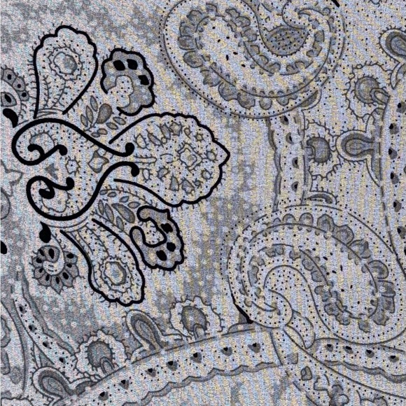 Black & Gray Mesh See Through Button Down Blouse with Paisley Pattern - Picture 7 of 8